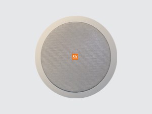 CEILING SPEAKER